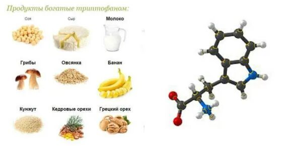 Триптофан где содержится продукты. Триптофан в продуктах. триптофан в пищевых продуктах. источники триптофана в продуктах питания. триптофан источники в пище.