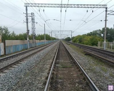 Курган петухово