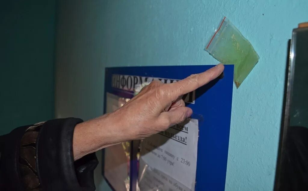 Укажите наиболее вероятные места закладки. Фото закладки. Укажите наиболее вероятные места закладки. Закладки в лесу. Возможные места взрывных устройств.