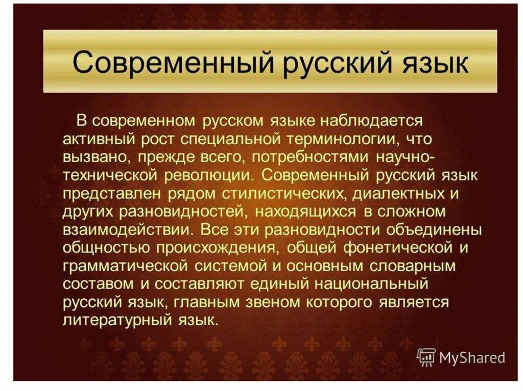 Современный русский литературный язык примеры слов. Современный русский язык. Современный русский литературный язык. Современный русский язык презентация. Русский язык история и современность.