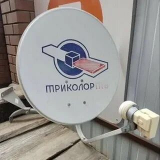 Фото тарелки триколор