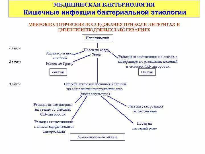 Метод диагностики кишечных инфекций. Метод диагностики кишечных инфекций