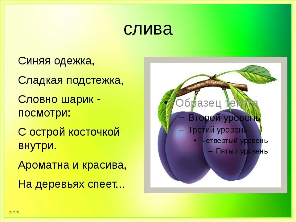 Яблоко какое имя прилагательное. Загадки. Загадка про сливу. Слива загадка. Загадка про сливу для детей.