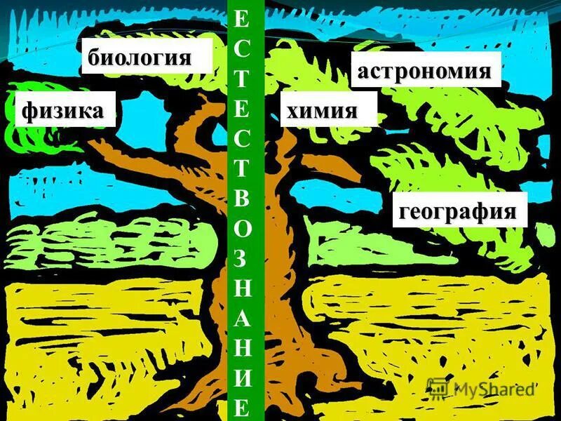 термины по географии. химия физика география. химия физика биология астрономия география. символ биологии. естественные науки.