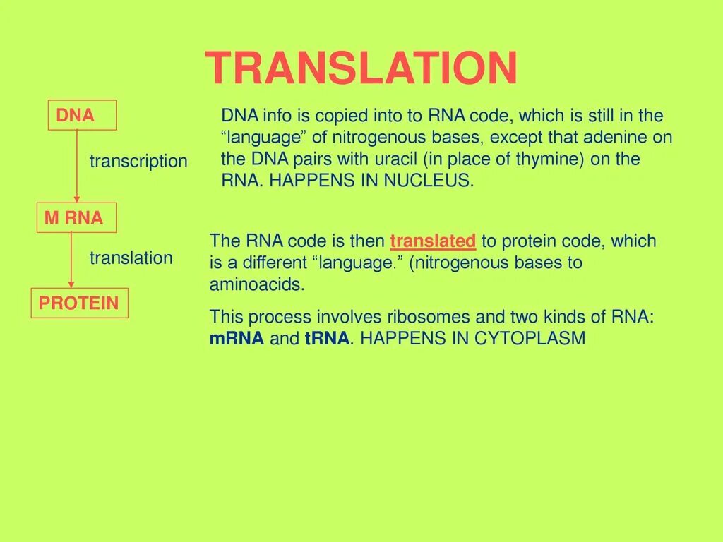 DNA translation. In my DNA перевод. Core DNA перевод. Dna перевод