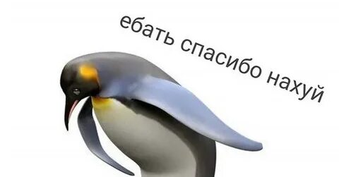 i?id=b442393513ad86b46fee0bfadffa8c2b045