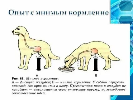 Метод фистулы