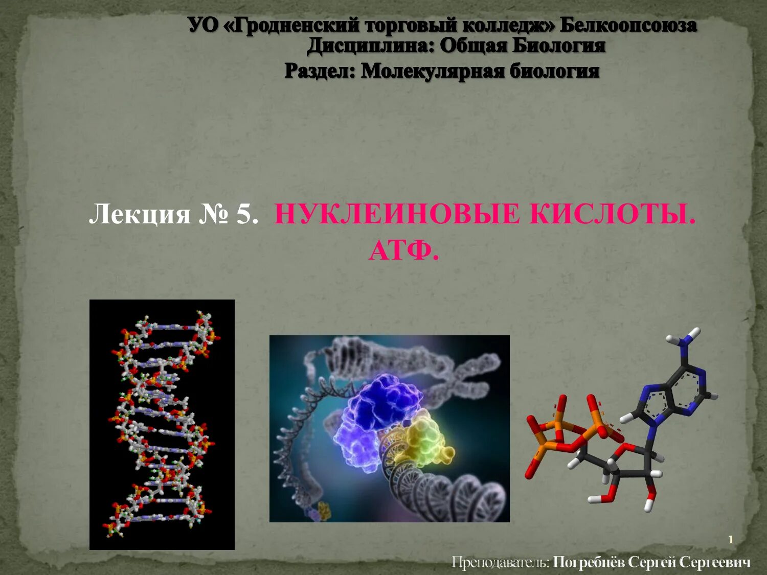 АТФ белки РНК ДНК. Строение нуклеиновых кислот АТФ. Нуклеиновые кислоты ДНК РНК АТФ. Биология АТФ нуклеиновые кислоты.