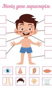 Касиамен порно көру