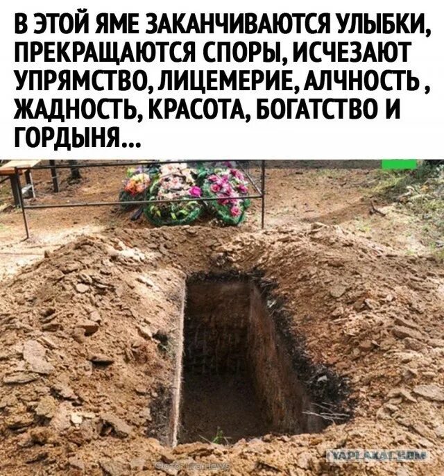 Медведь разрыл могилу на кладбище. В ухте медведь раскопал могилу. Вырытая могила. Эксгумация могилы щорса. Откопали могилу.