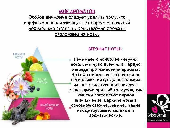 Верхние ноты. Состав духов. Верхние ноты в парфюмерии. Верхние ноты. Что такое пирамида запахов в духах.