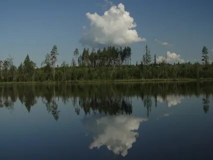 Прогноз костомукша