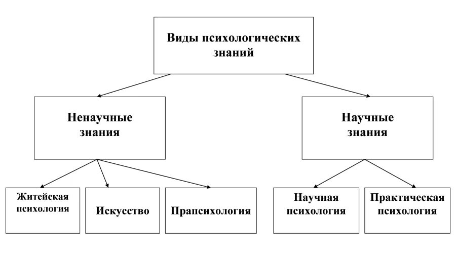 Виды психологии. Научное и ненаучное психологическое знание. Виды ненаучного психологического знания. Виды психологов. Научное знание психологии