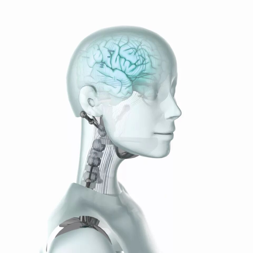 Robot brains. Искусственный мозг. Роботизированный мозг. Позитронный мозг робота.