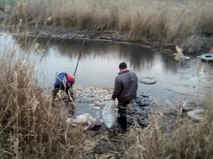 Рыбалка в днр