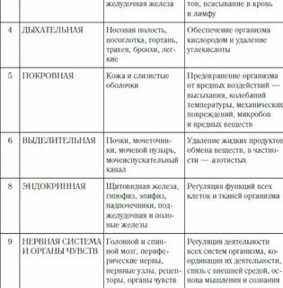 Строение и функции систем органов человека таблица