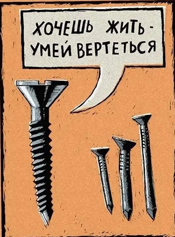 Живой гвоздь 3. Анекдот про саморезы. Саморез смешной. Хочешь жить умей вертеться пословица. Прикольные шурупы.