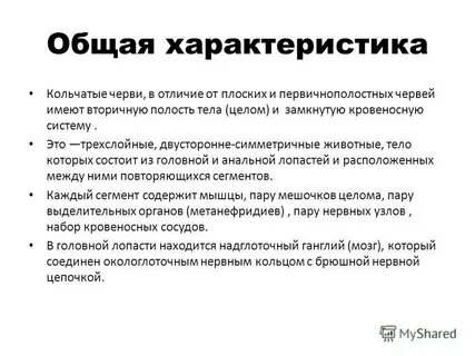 Какие общие признаки червей