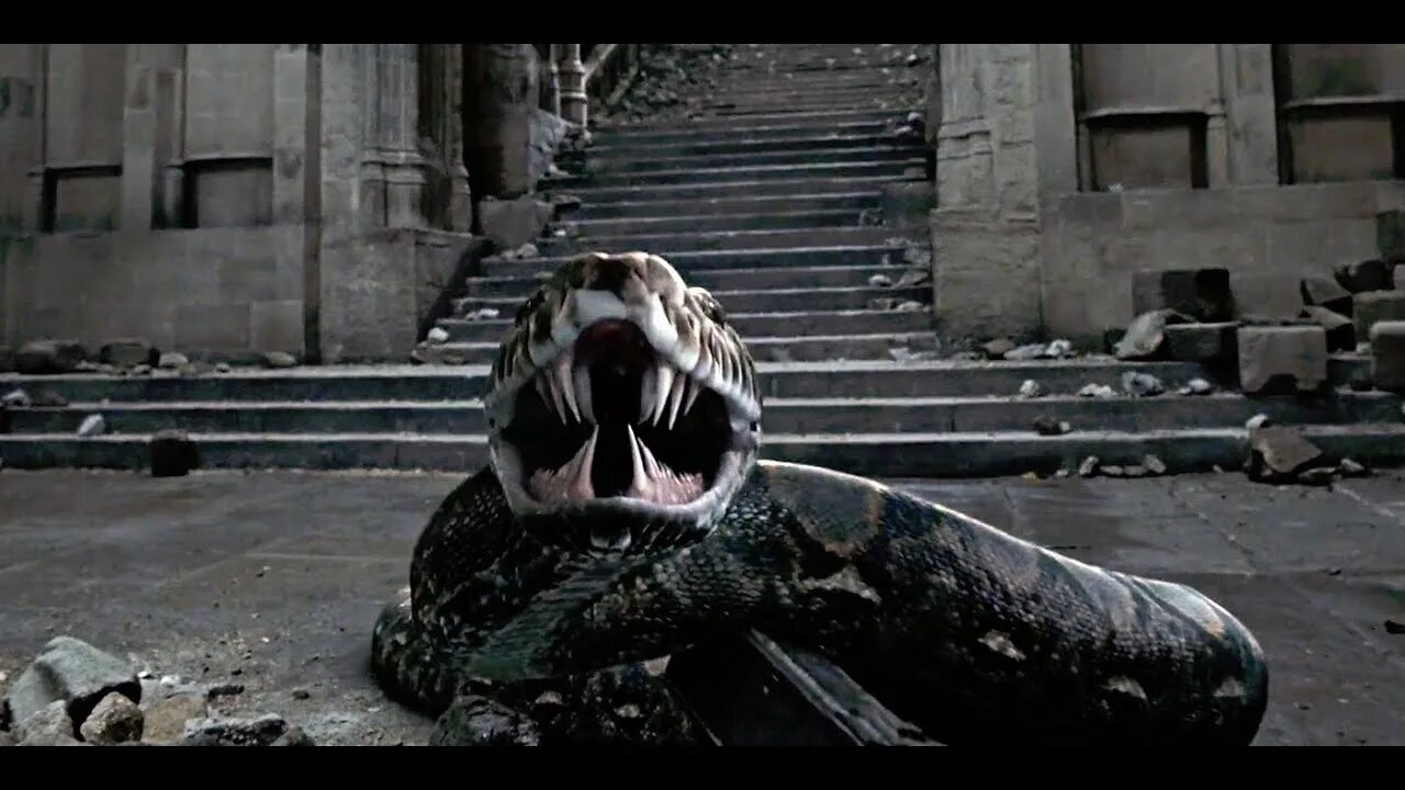 Нагини гарри поттер. Нагайна и волдеморт. Змея из поттера. Змея нагайна из гарри поттера. Гарри поттер змея нагайна.