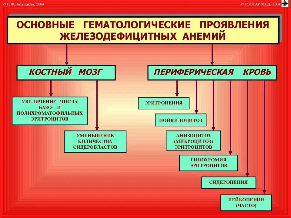 Лейкопения при анемии. Основные гематологические проявления анемий. Гематологические проявления железодефицитной анемии. Гематологические проявления жда. Лейкопения при жда.