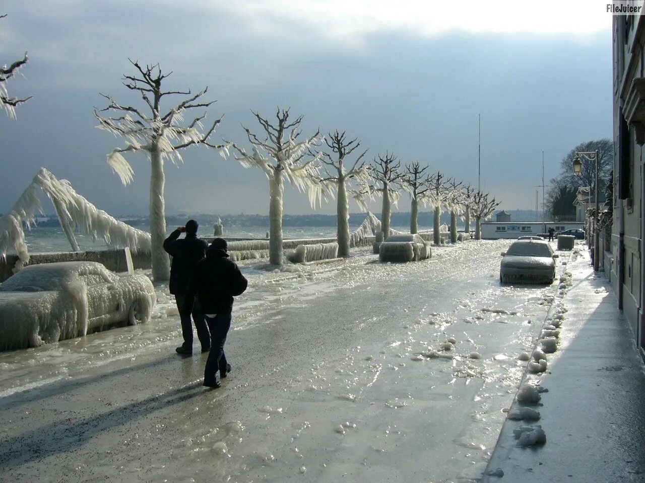 Ледяной шторм в китае. Ледяной шторм Швейцария 2005. Обледенение в городе. Ледяной дождь. Ужасная зима.