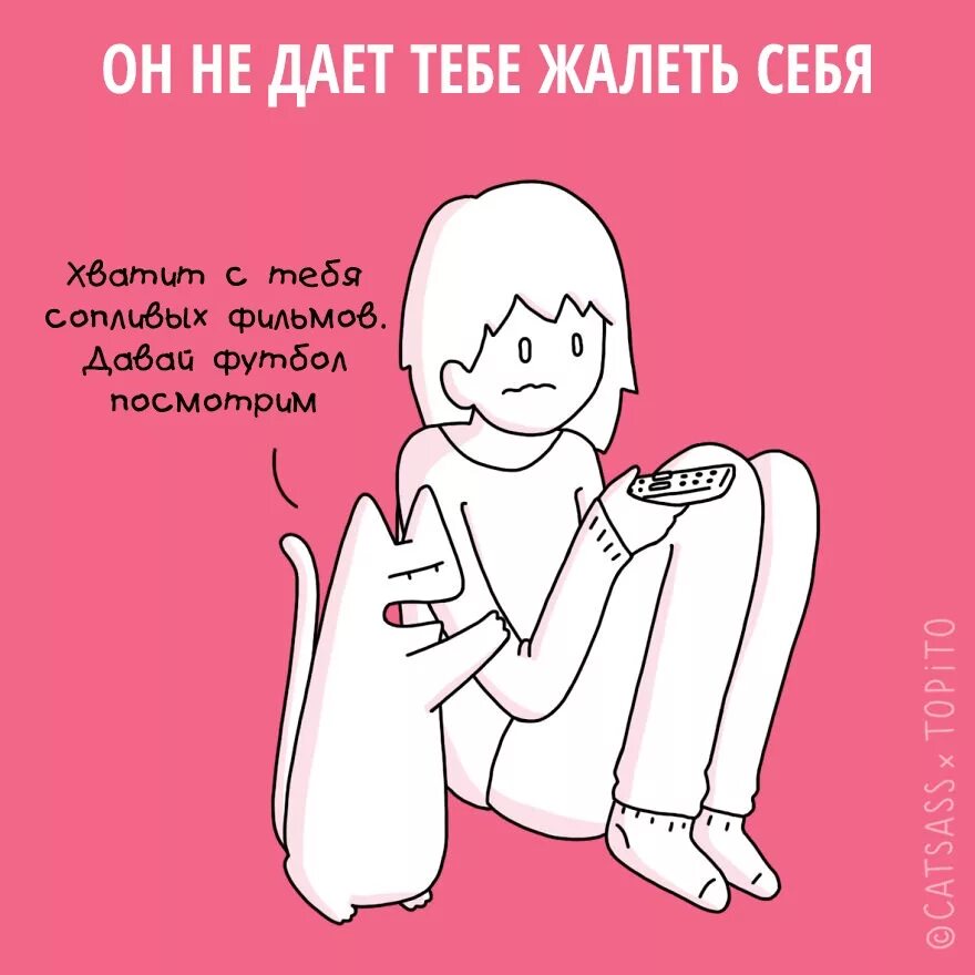 Давай жалей. Дай пожалею. давай тебя пожалею. я тебя жалею картинки. пожалеть картинки прикольные.