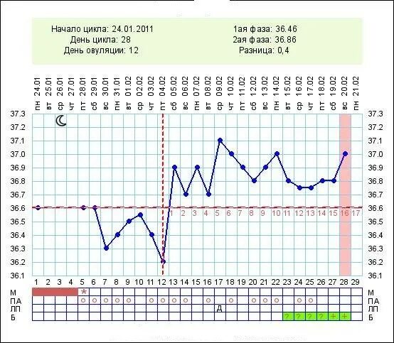 Низкая вторая фаза. Западение базальной температуры. Базальная температура при наступлении беременности. График базальной температуры при наступлении беременности. График БТ С ранней овуляцией и беременный.