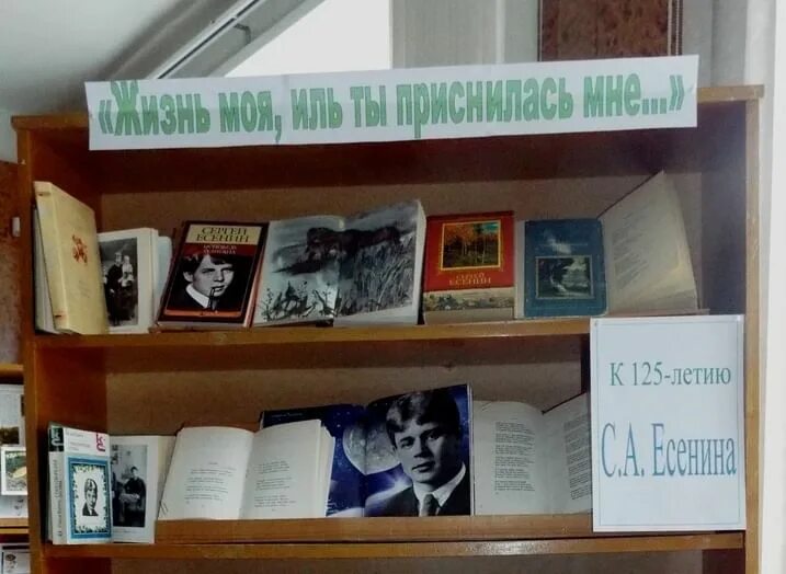 Читательской конференции в библиотеке. Читательская конференция. Читательская конференция кладезь жизни. Два билета в Индию читательская конференция.