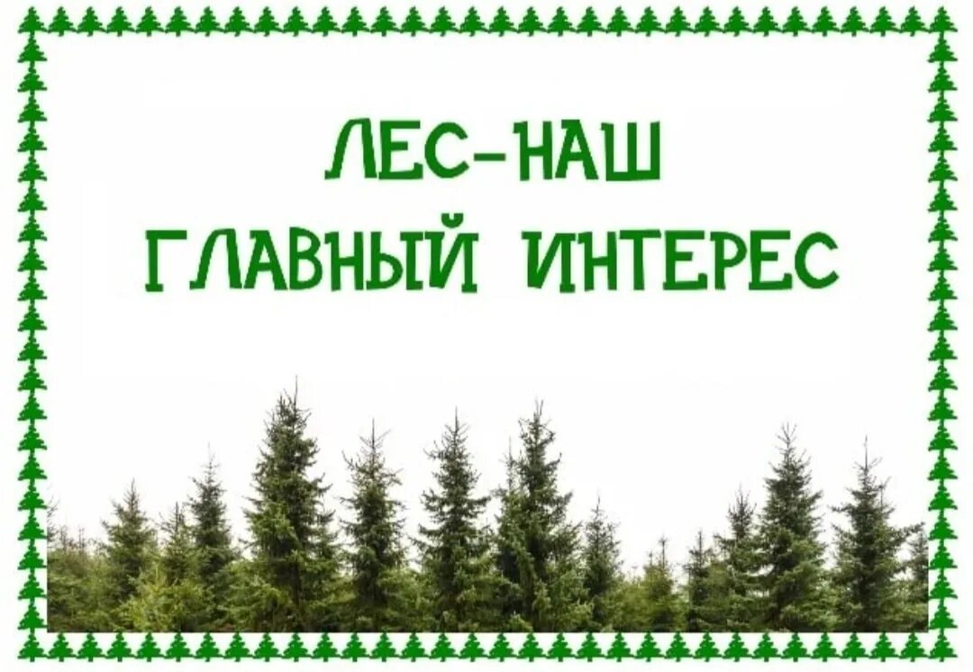 Главный интерес в жизни. Лес наш главный интерес. Лес наш главный интерес конкурс. Лес наш главный интерес конкурс рисунков. Лес наж главный и нтерес.