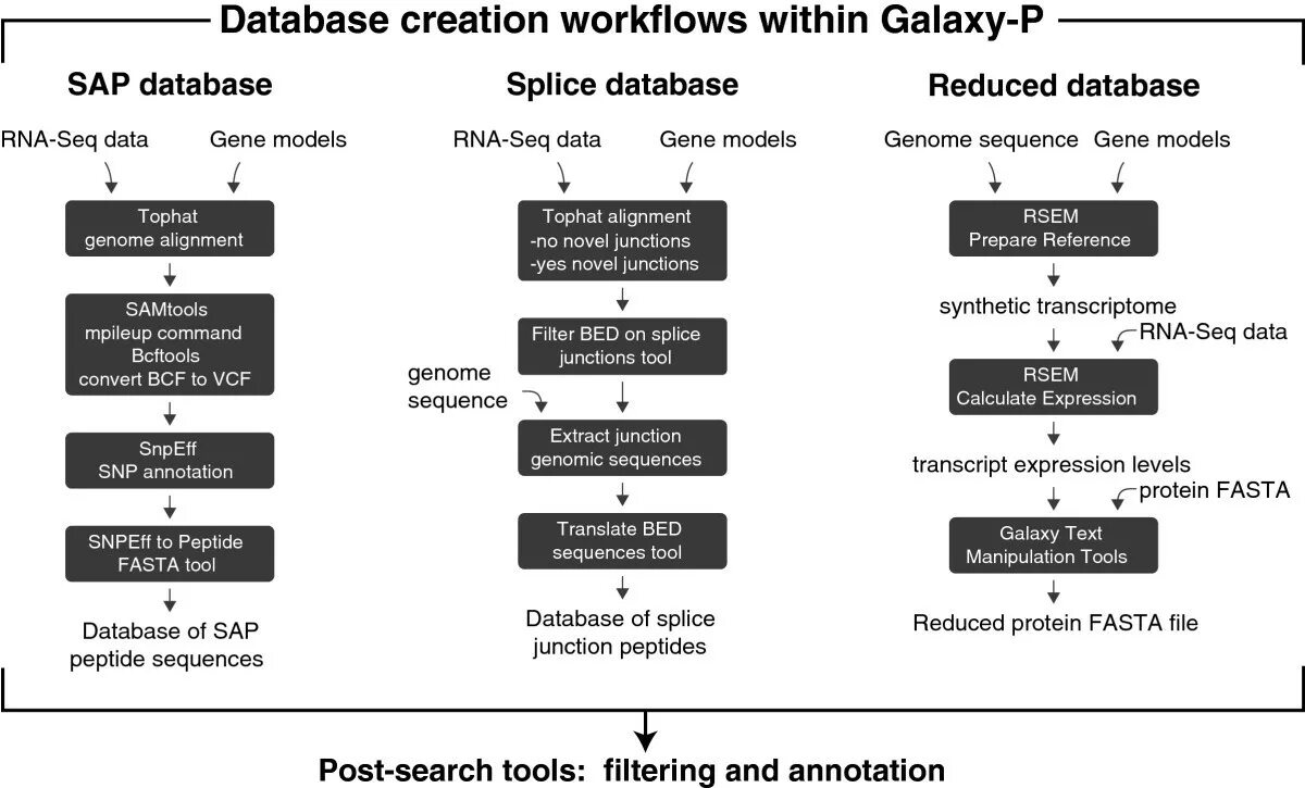 RNA seq принцип. Database workflow. Database sequence. Bulk RNA seq. Expression levels