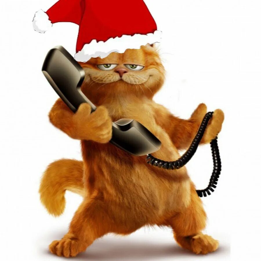 Веселый телефон. Котик с телефоном. Рыжий кот с телефоном. Забавные котики с телефоном. Веселый кот с телефоном.
