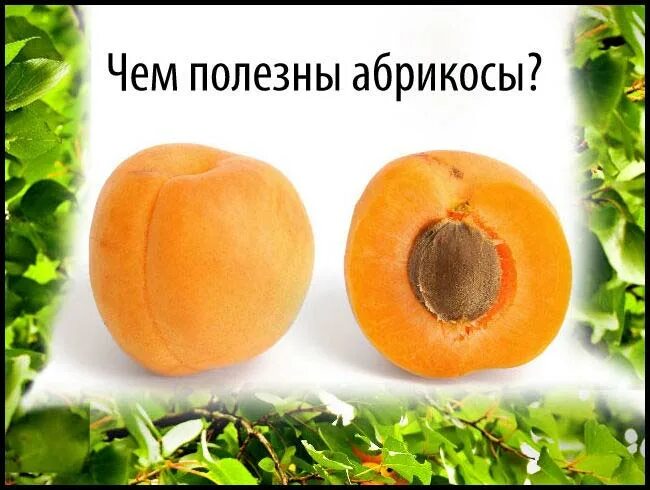Чем вредны абрикосы. Чем полезен абрикос для организма. Абрикос польза. Витамины в абрикосе. Урюк абрикос.
