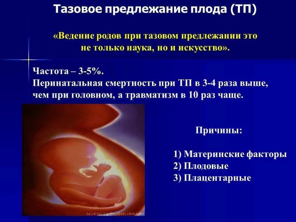 Тазовое предлежание плода. Тазовое положение плода. Тазовое ягодичное предлежание плода. Роды 16 недель