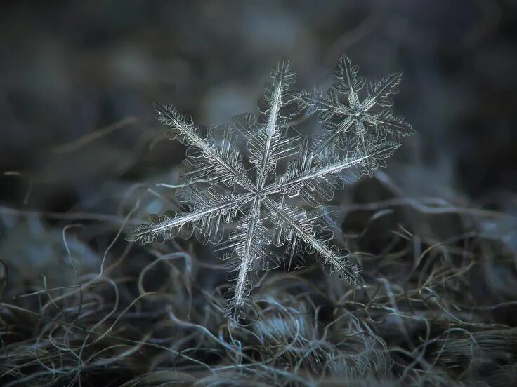 Use snowflakes. Use snowflakes
