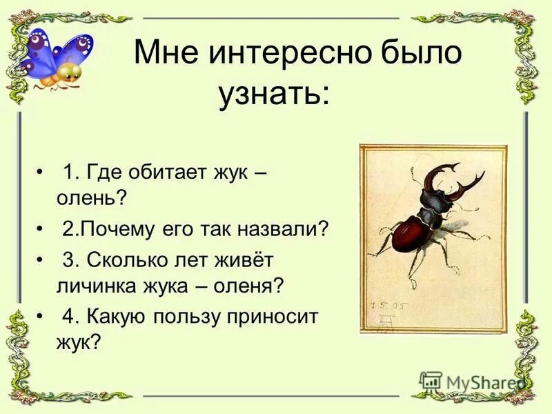 Жук жужелица. Полезные и вредные насекомые. Жужелица садовая ночной жук приносящий. Божья коровка краткое описание. Насекомые вредители леса майский жук.