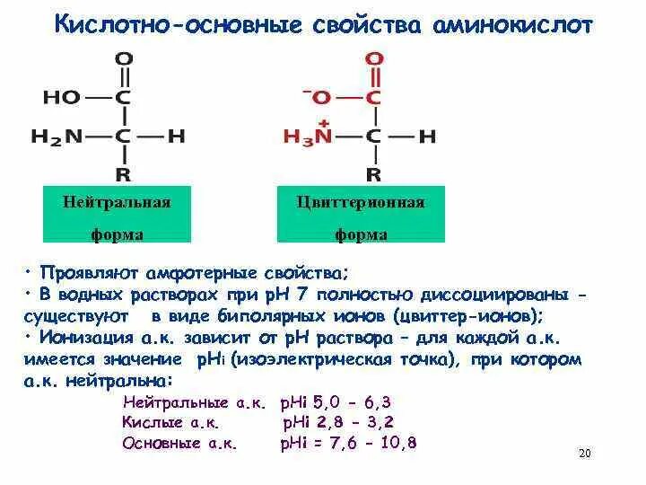 Кислотно основные аминокислоты. Кислотно основные свойства Альфа аминокислот. Биполярная структура α-аминокислот. Охарактеризуйте кислотно-основные свойства а-аминокислот. Кислотно-основные свойства аминокислот биохимия.