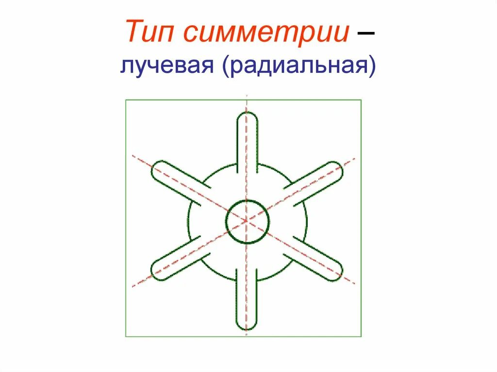 Двусторонняя симметрия тела у кишечнополостных. Лучевая симметрия гидры. пресноводная гидра лучевая симметрия. чертеж радиально-лучевой симметрии. лучевая и радиальная симметрия.