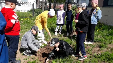 Посадки казань