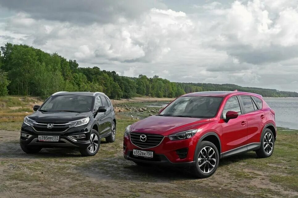 Мазда СХ-5 Хонда СРВ. Mazda CX 5 vs Honda CRV. Honda cx5. Mazda CRV 9. Недостатки мазда сх5