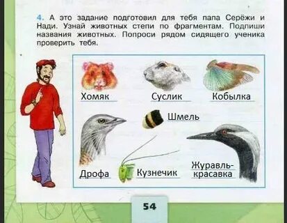 Папа с сережей огэ