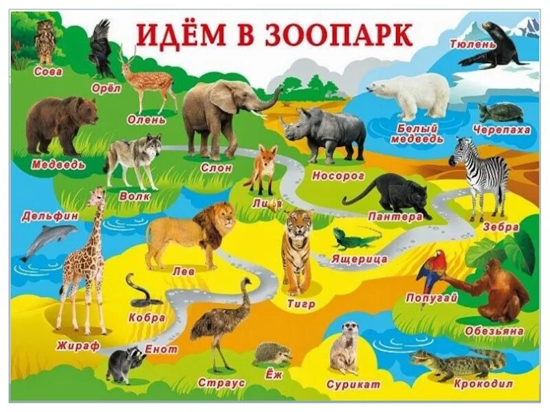 Какое есть животное страны