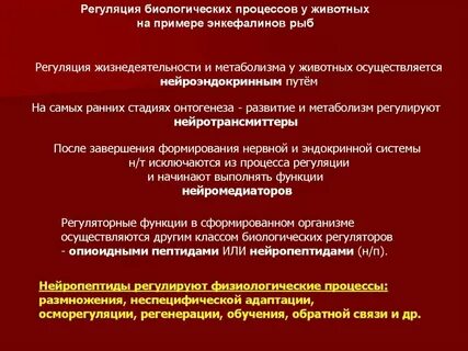 Системы жизнедеятельности животных