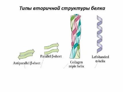 Вторичный тип