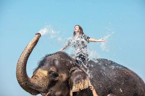 Humans and Animals 