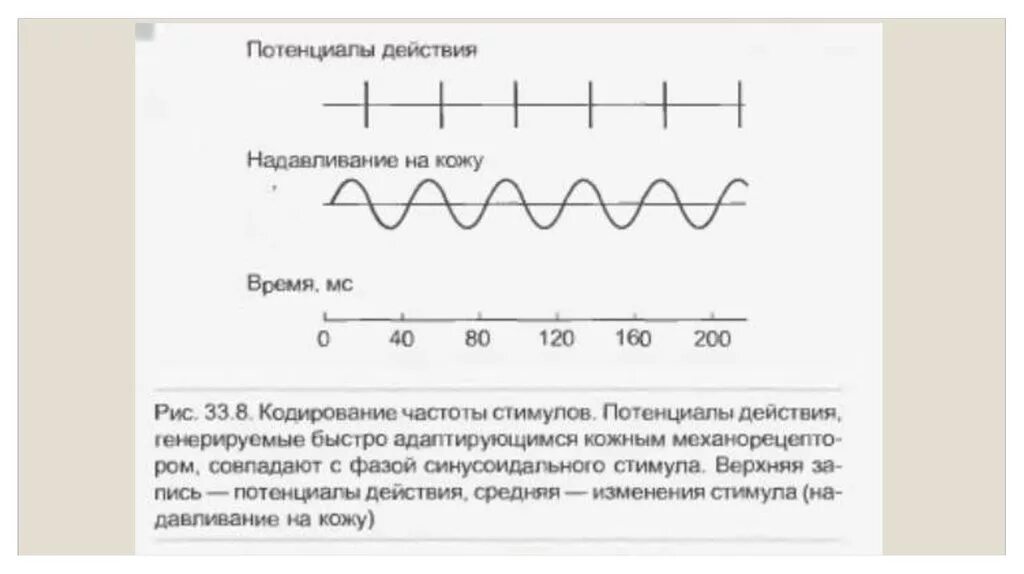 Инсайт кодировка