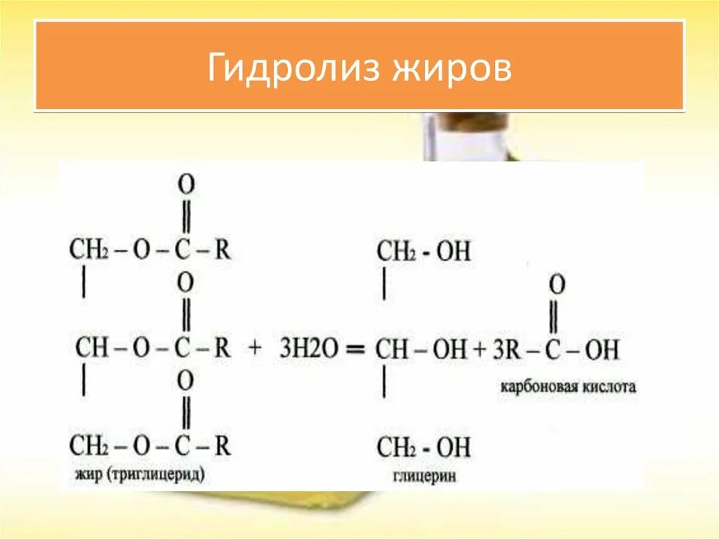 Гидролиз сложных эфиров и жиров. Сложные эфиры жиры гидролиз. Гидролиз жира. Формула жиров и сложных эфиров.