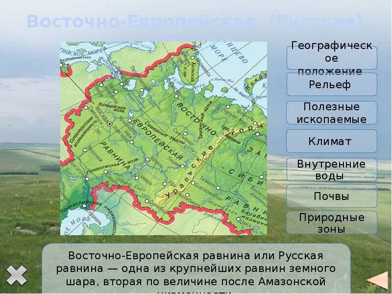 Все возвышенности россии. Рельеф Восточно-европейской равнины карта. Восточно-европейская равнина на карте России. Восточно-европейская равнина физическая карта рельефа. Восточно-европейская низменность на карте России.