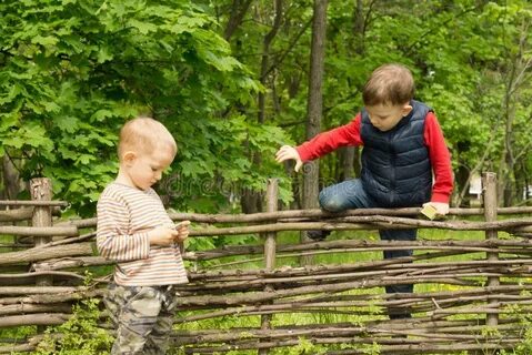Мальчик влезает на дерево девочка играет