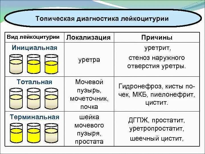 Классификация лейкоцитурии. Диф диагностика лейкоцитурии. Дифференциальный диагноз лейкоцитурии. Дифференциальная диагностика лейкоцитурии у детей.