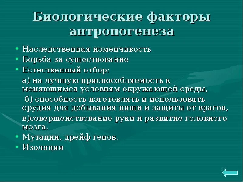 Изоляция антропогенеза. Биологические факторы антропогенеза. Природные факторы антропогенеза. Экологические факторы антропогенеза. Социальные факторы антропогенеза.